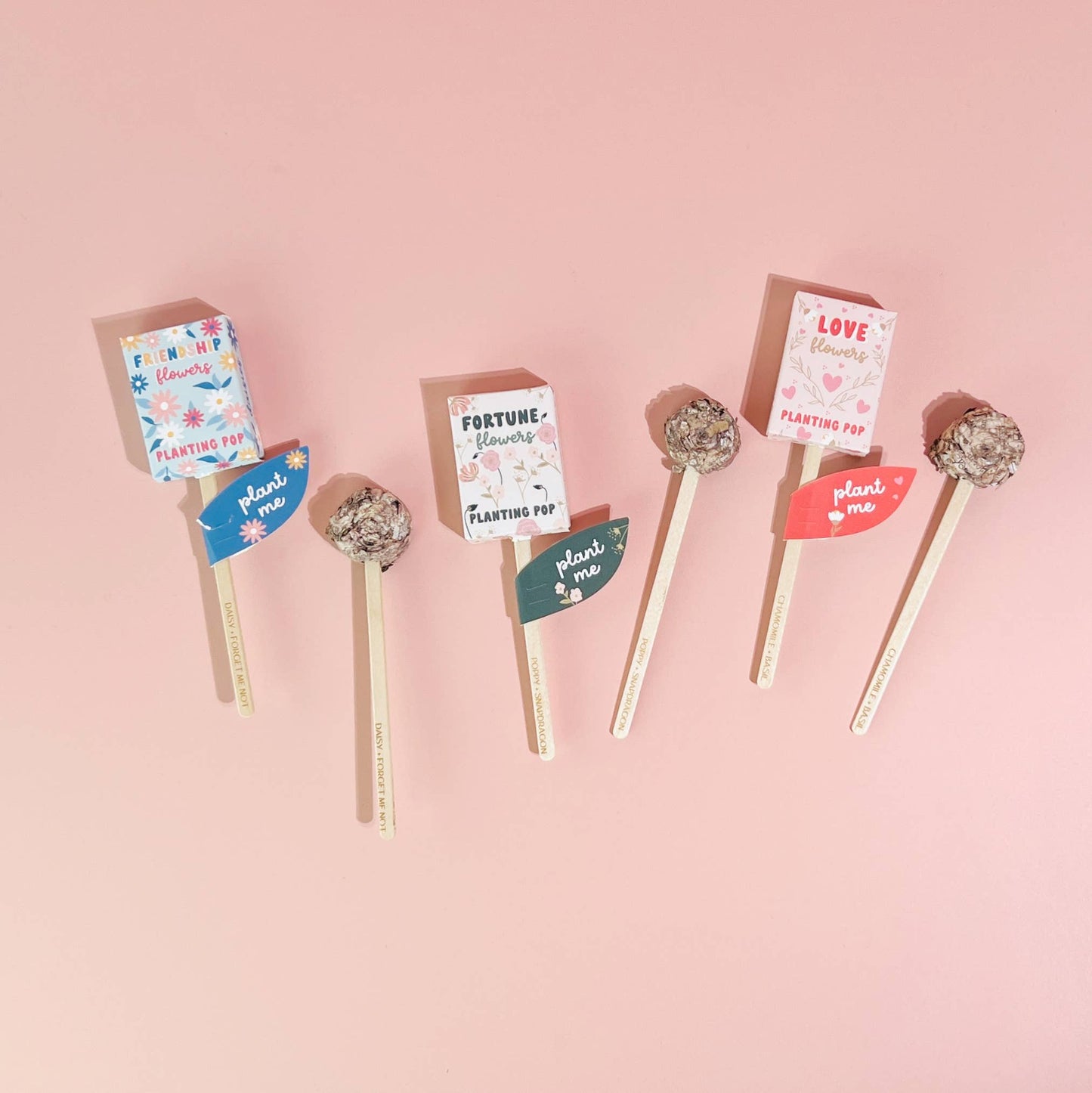 Seed Planting Pop (3 flower options)