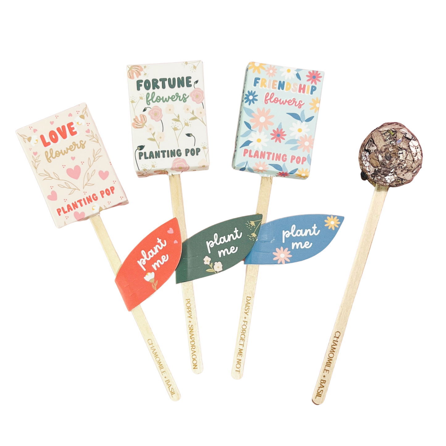 Seed Planting Pop (3 flower options)