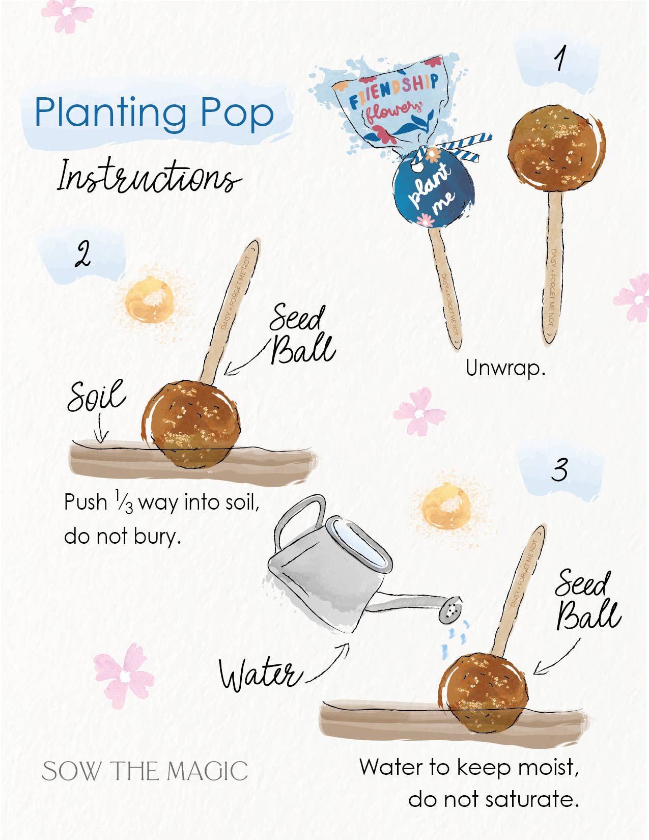 Seed Planting Pop (3 flower options)