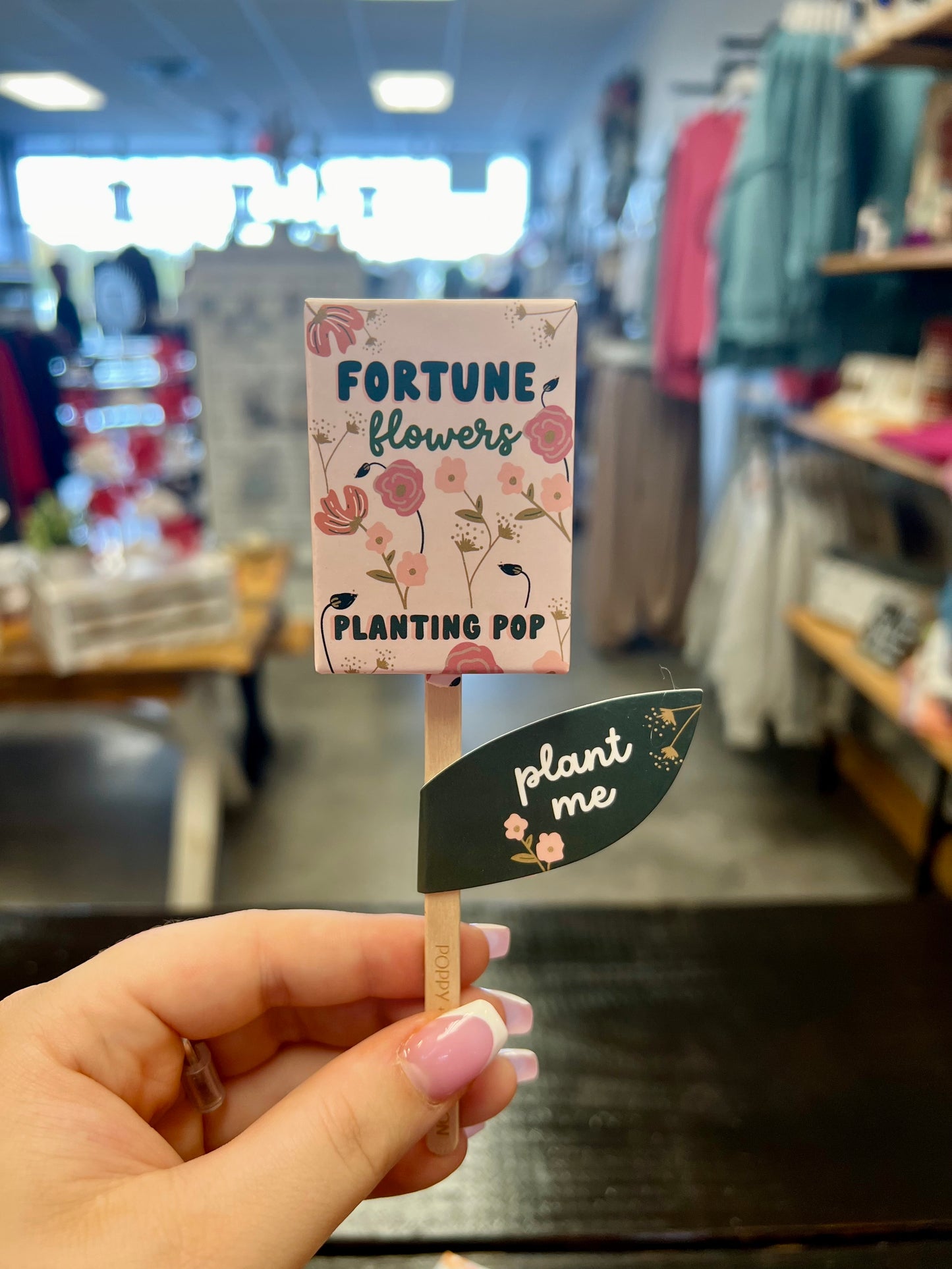 Seed Planting Pop (3 flower options)