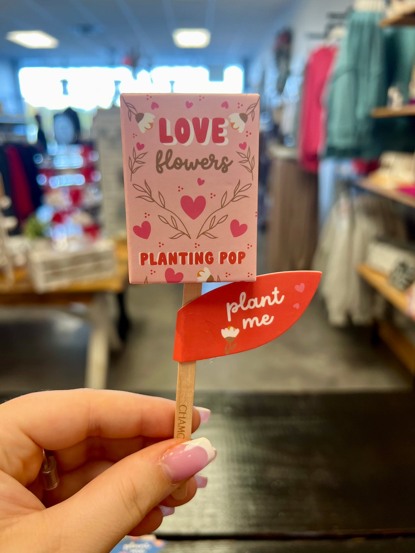 Seed Planting Pop (3 flower options)