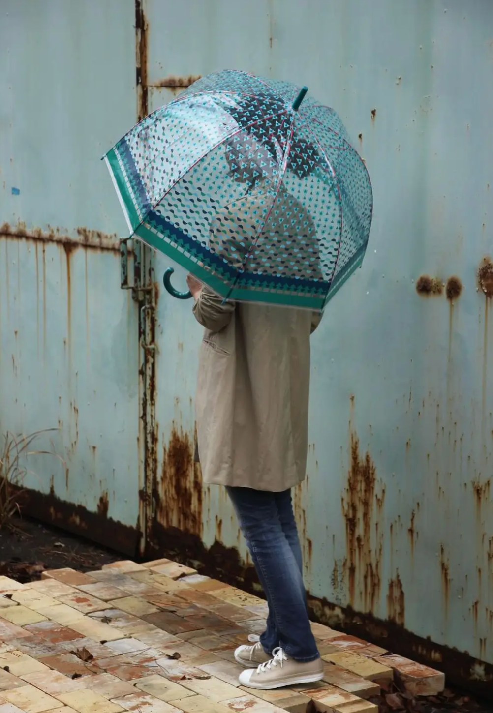 Joyful Rain Clear Umbrella (5 Design Options)