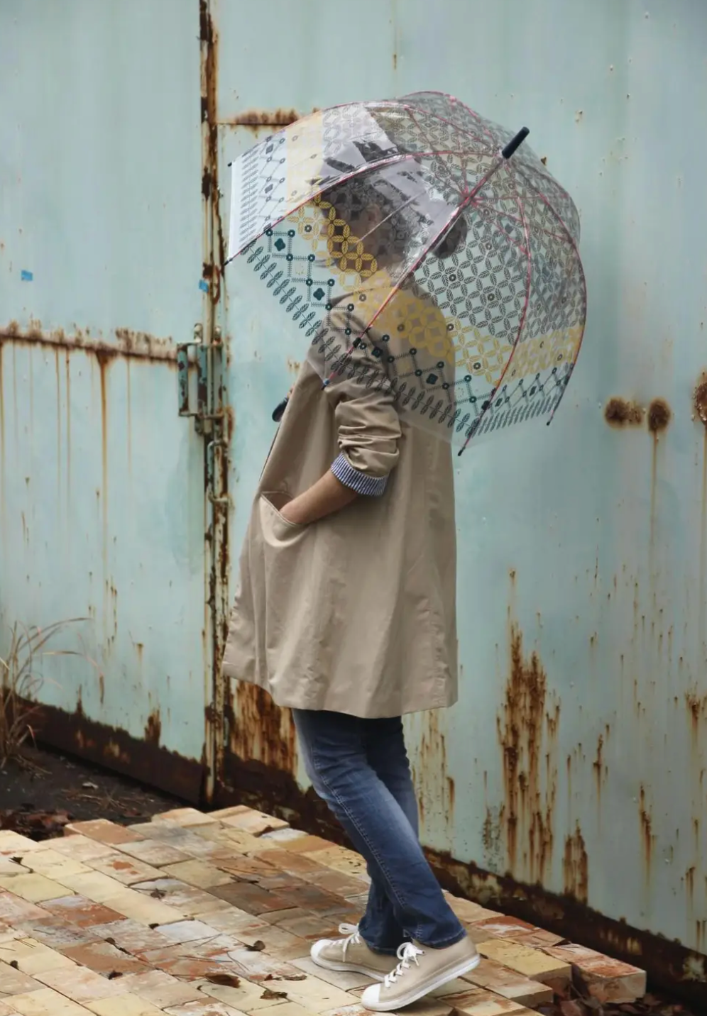 Joyful Rain Clear Umbrella (5 Design Options)