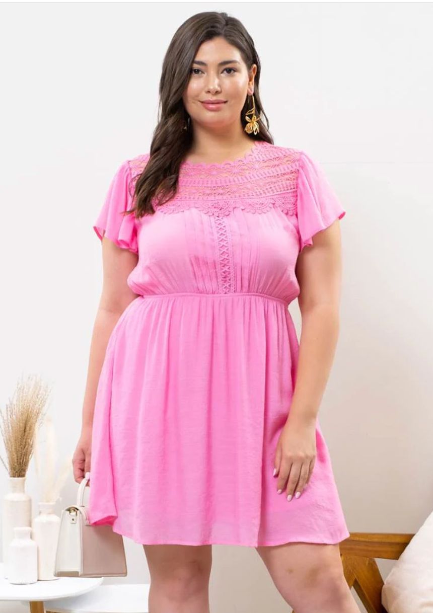 The Lexi Lace Dress (2 Colors) (1X-3X)