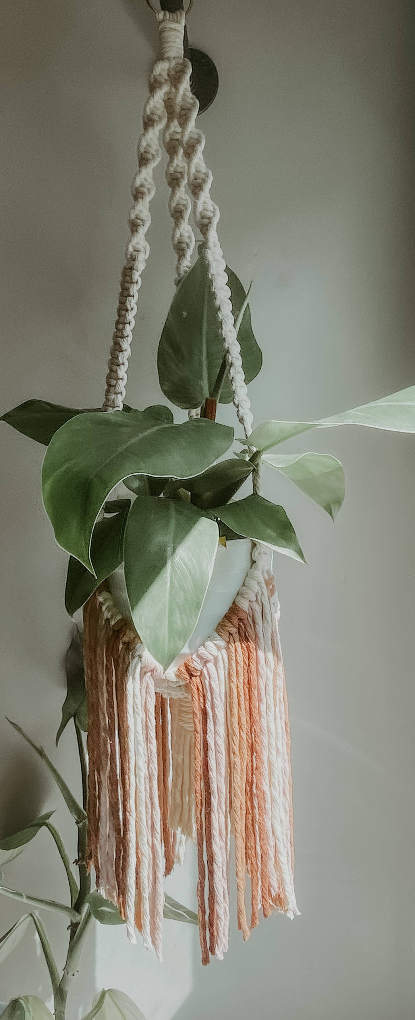 Macrame Plant Hanger // Fringe