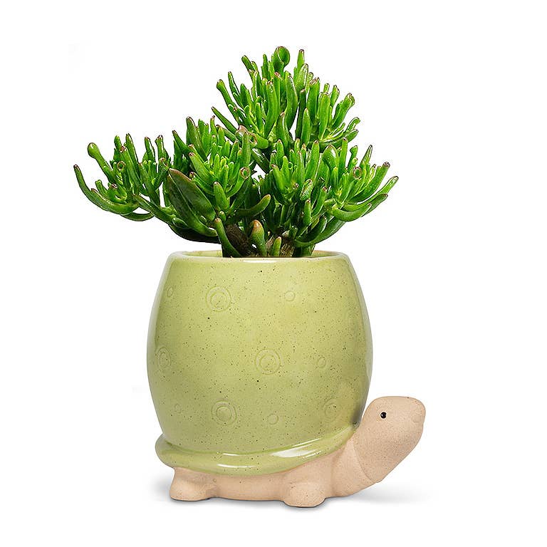 Tall Green Turtle Planter