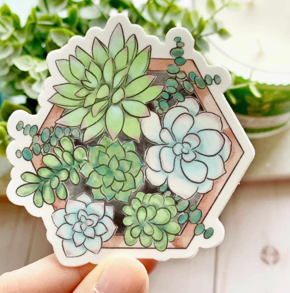 Watercolor Succulent Planter
