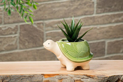 Small Turtle Planter