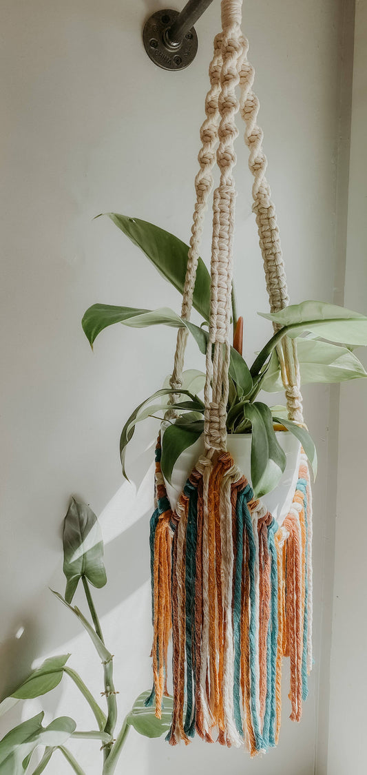 Macrame Plant Hanger // Fringe