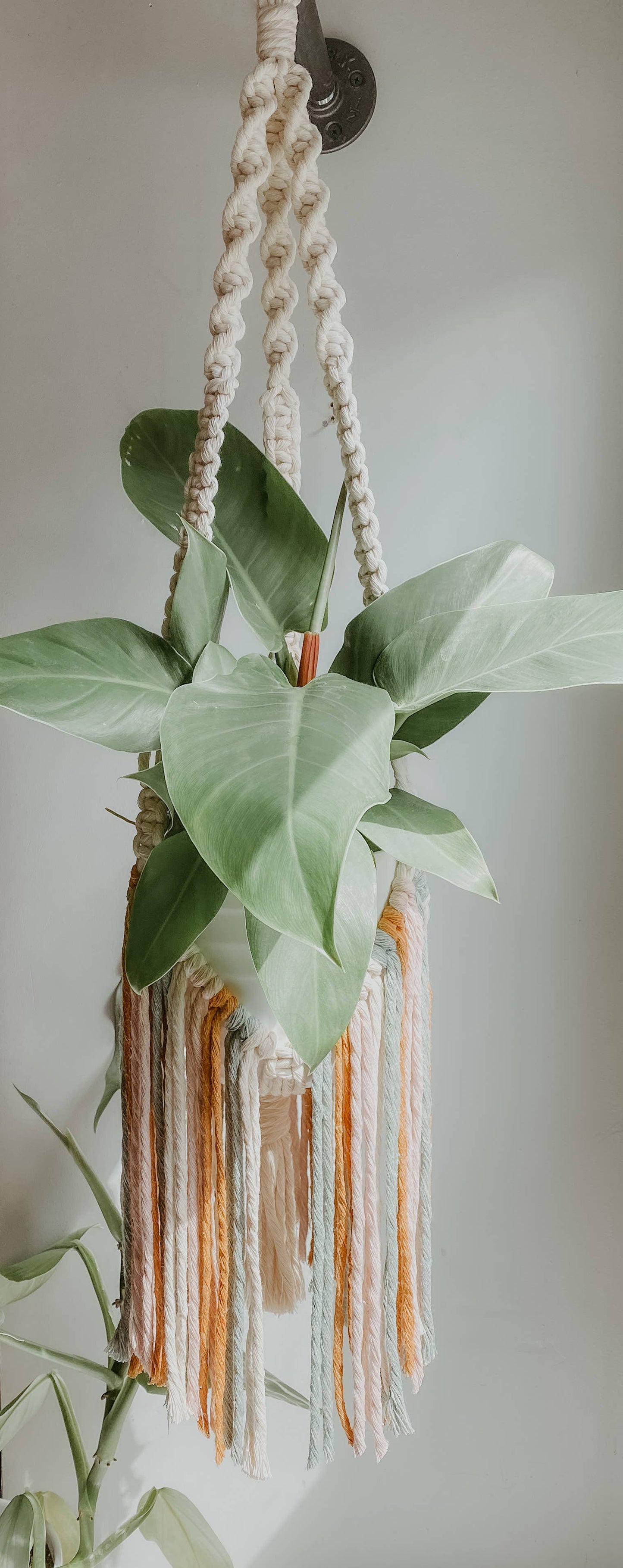 Macrame Plant Hanger // Fringe