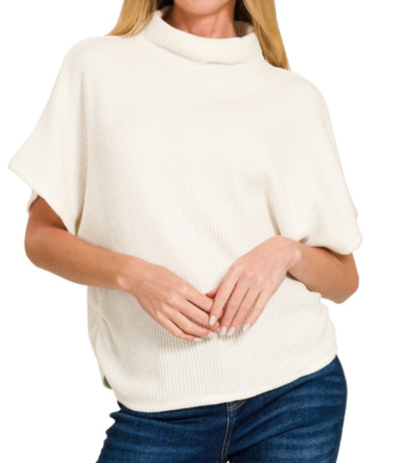 The Sammy Knit Sweater Top (S-L)(2 Colors)