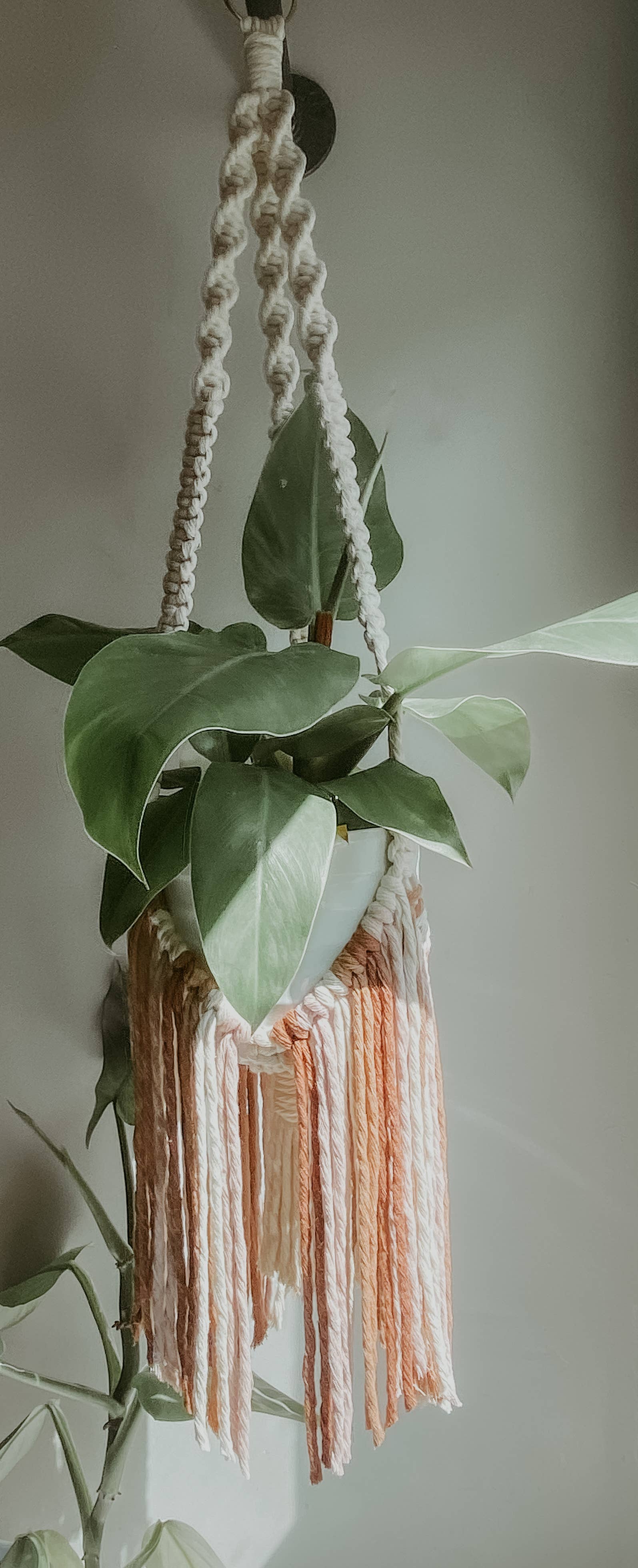 Macrame Plant Hanger // Fringe