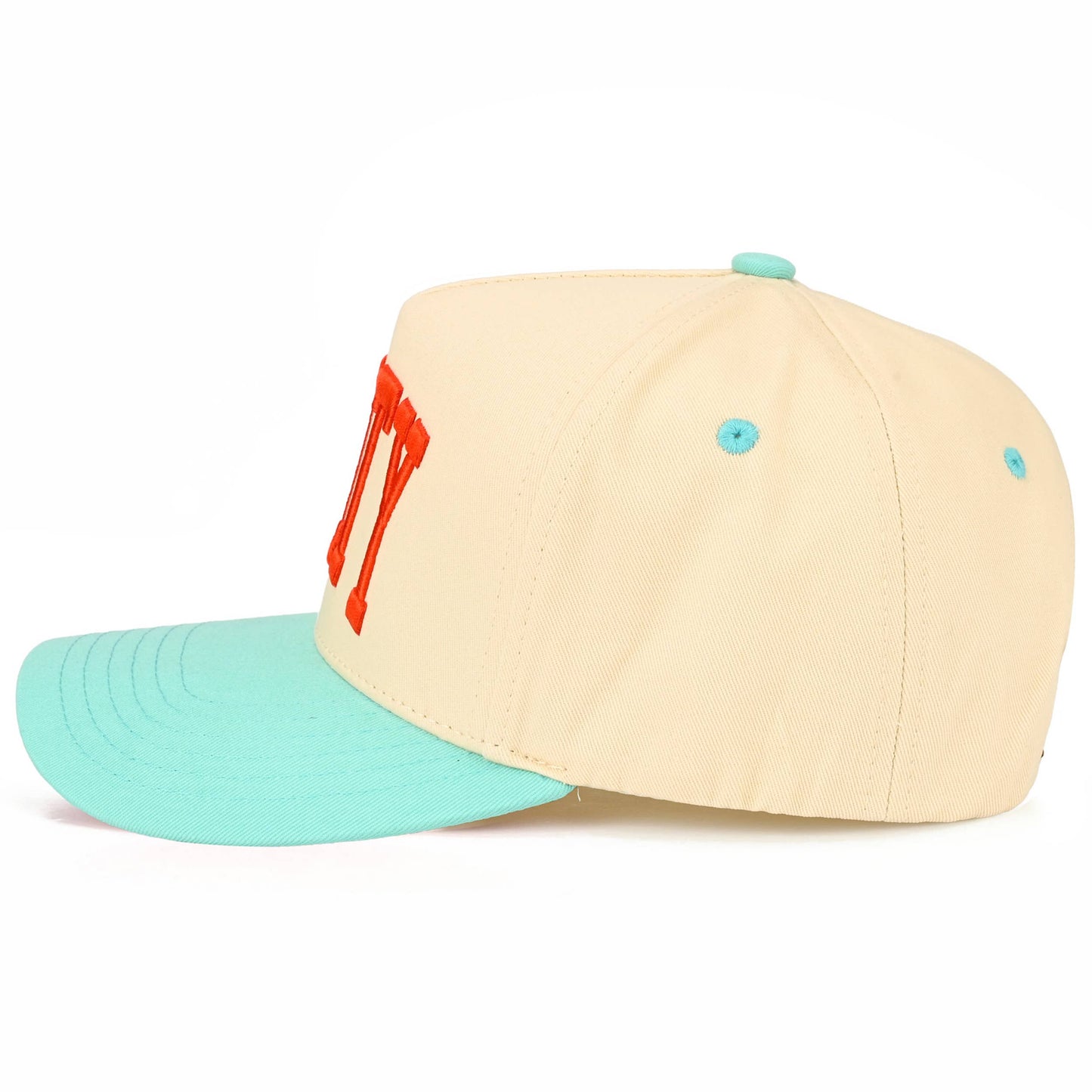 SALTY Embroidered Hat