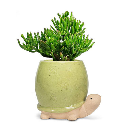 Tall Green Turtle Planter